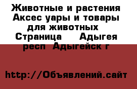 Животные и растения Аксесcуары и товары для животных - Страница 2 . Адыгея респ.,Адыгейск г.